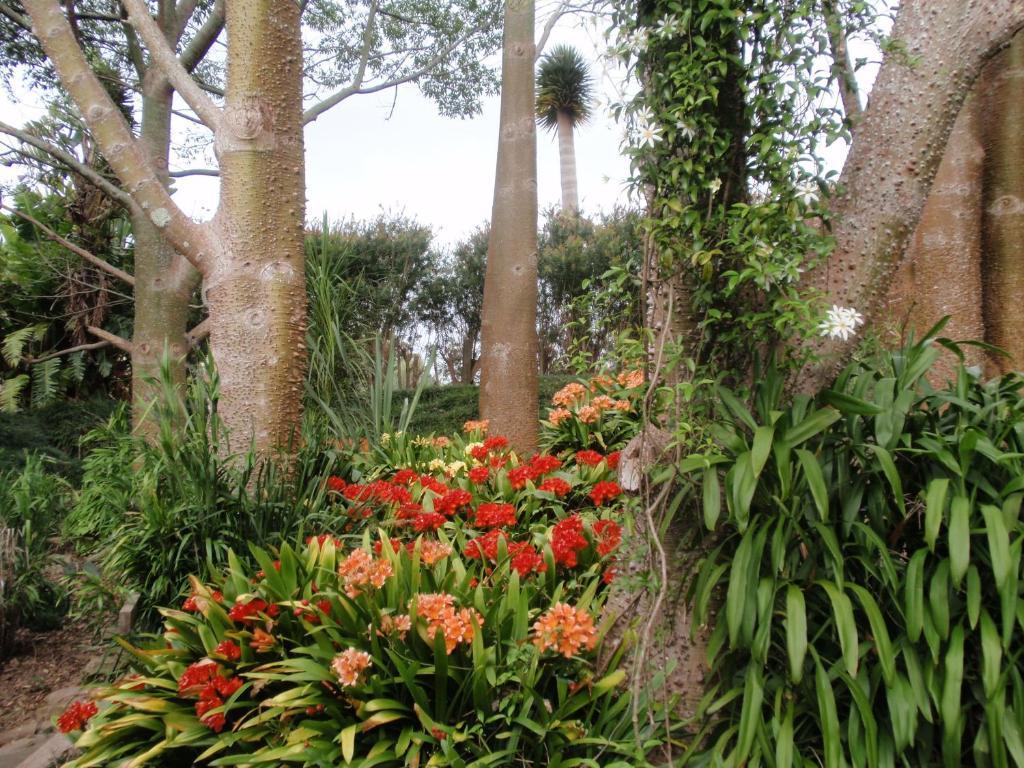 Wharepuke Subtropical Accommodation Kerikeri Exterior foto