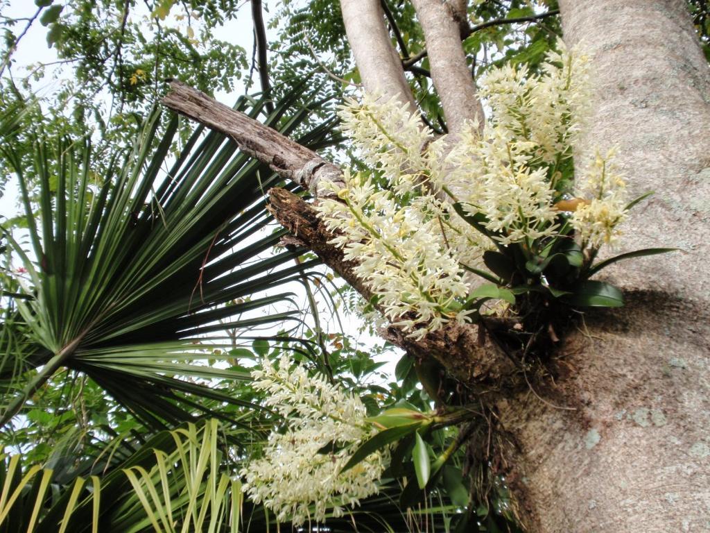 Wharepuke Subtropical Accommodation Kerikeri Exterior foto