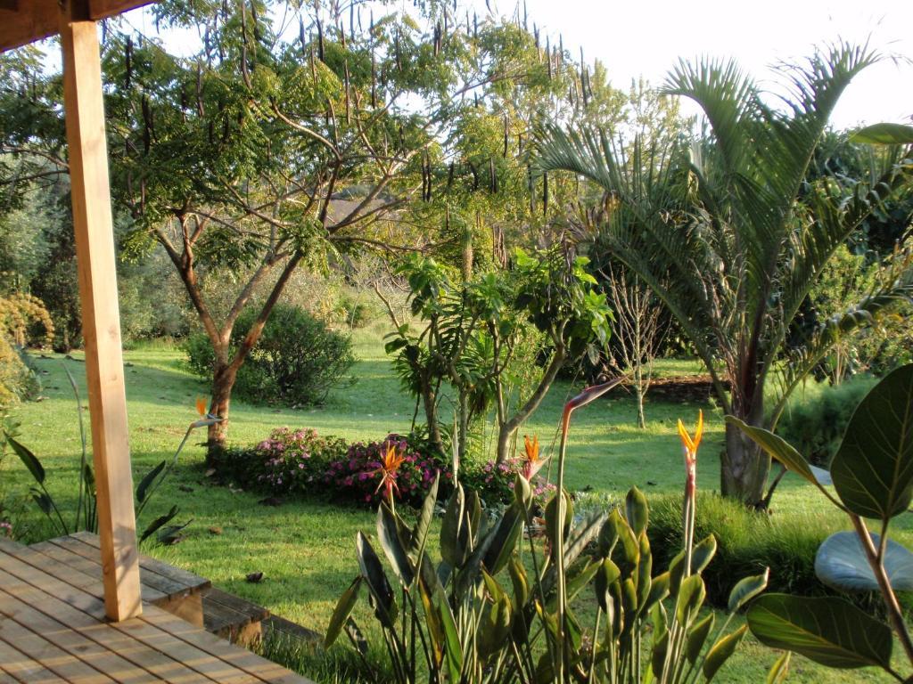 Wharepuke Subtropical Accommodation Kerikeri Zimmer foto
