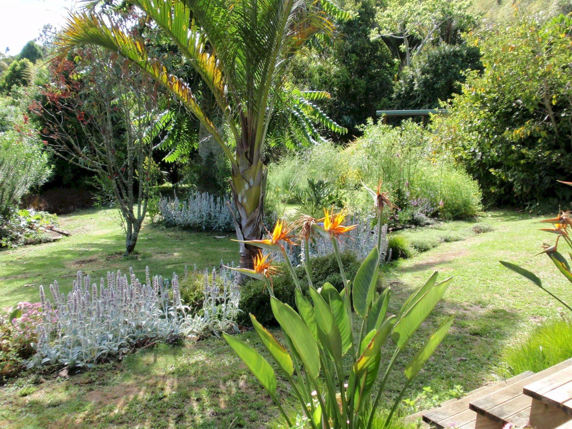 Wharepuke Subtropical Accommodation Kerikeri Exterior foto